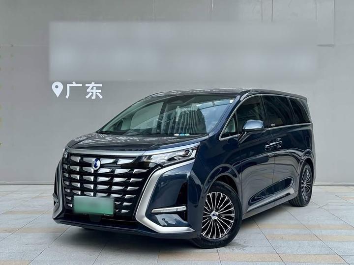 D9 2024 DM-i 980 AWD Noble