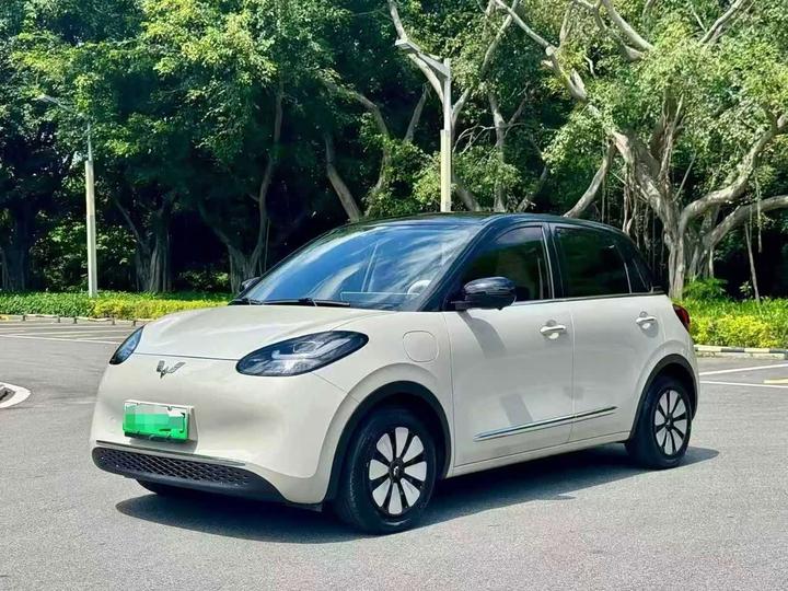 Bingo 2024 333km