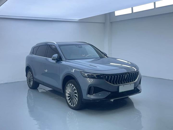 FREE 2021 AWD Standard EREV Luxury