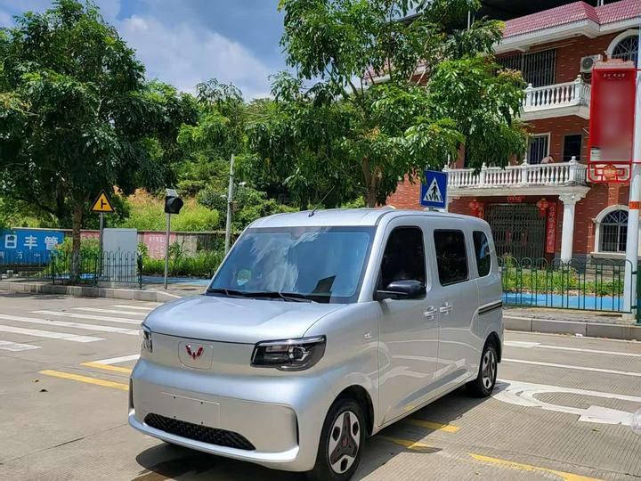 Zhiguang EV 2025 305km Progressive