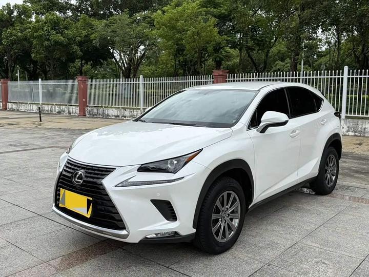 LexusNX 2020 200 FWD China V