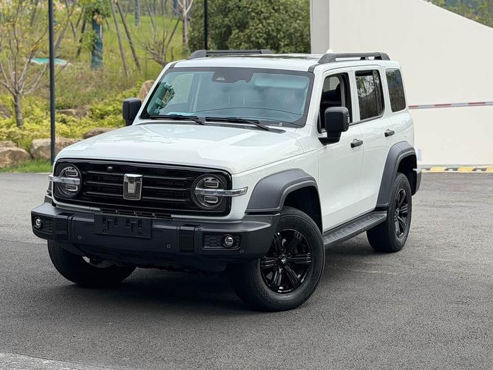 300 2021 Off-road 2.0T Conqueror
