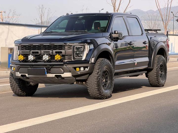 F-150 2019 3.5T LTD photo 2