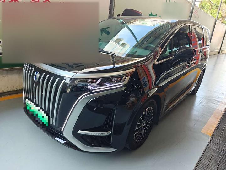 D9 2022 EV 600 AWD Flagship