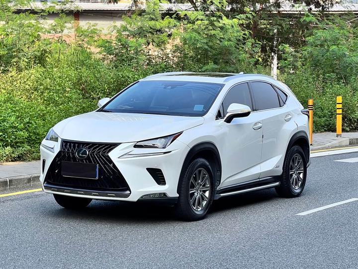 LexusNX 2020 200 China VI