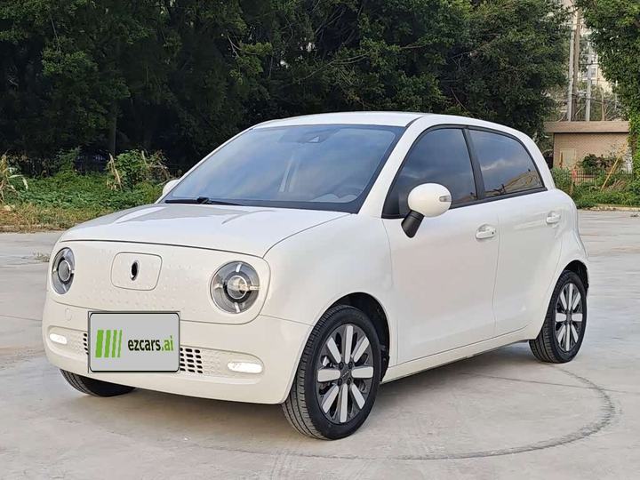 2021 351km Luxury