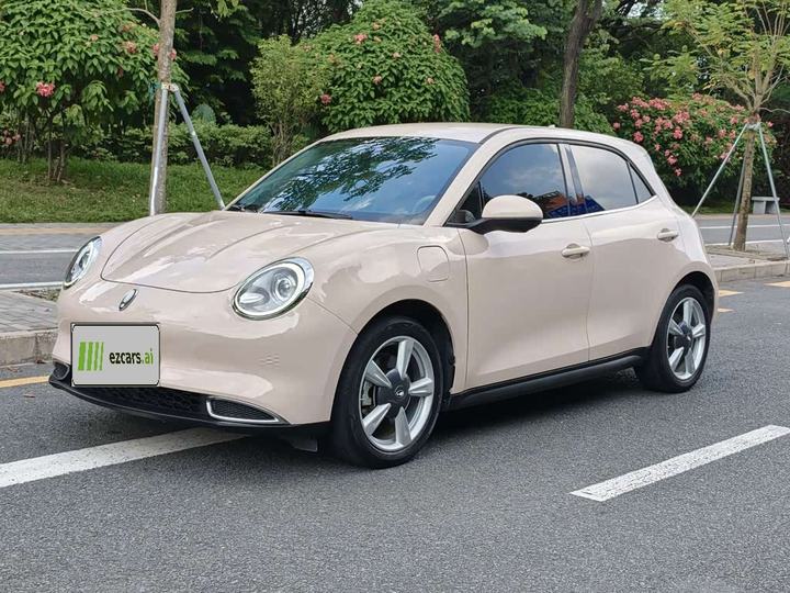 Good Cat 2022 400km Standard Range Luxury LFP