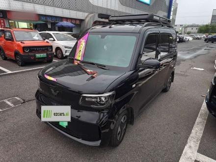 Zhiguang EV 2025 201km Comfort