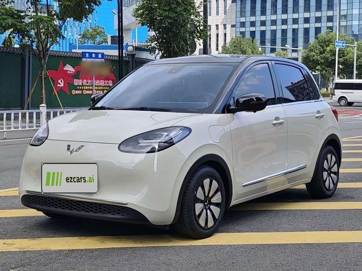 Bingo 2023 333km +