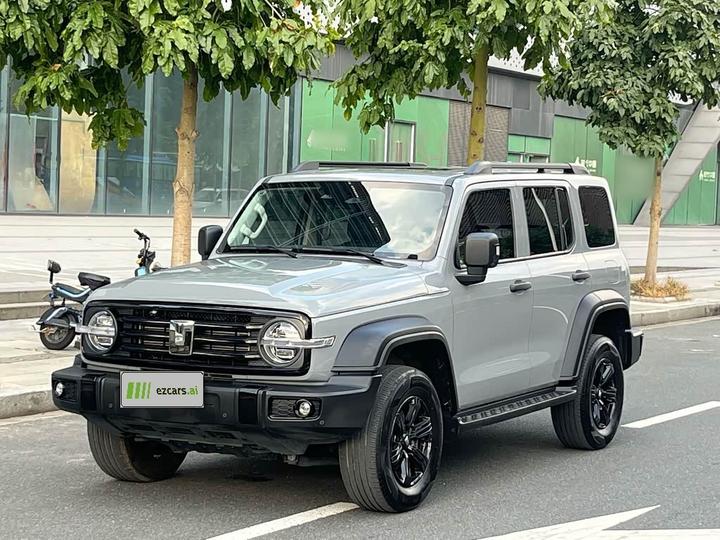 300 2024 2.0T Conqueror