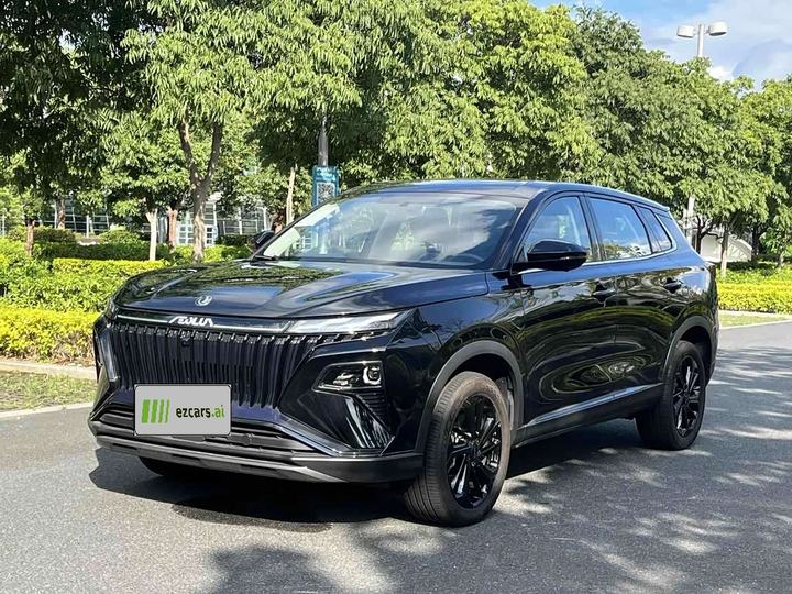 2025 Power 1.5T Luxury
