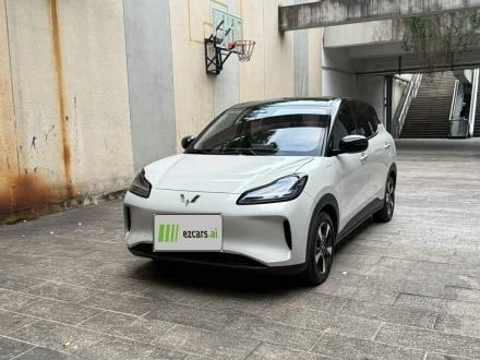 Bingo PLUS 2024 330km 5-Seater