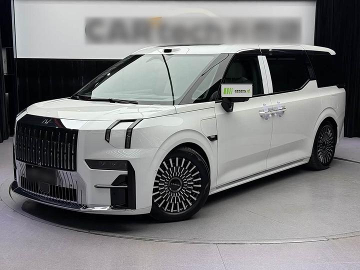 009 2024 6-Seater Executive AWD 108kWh