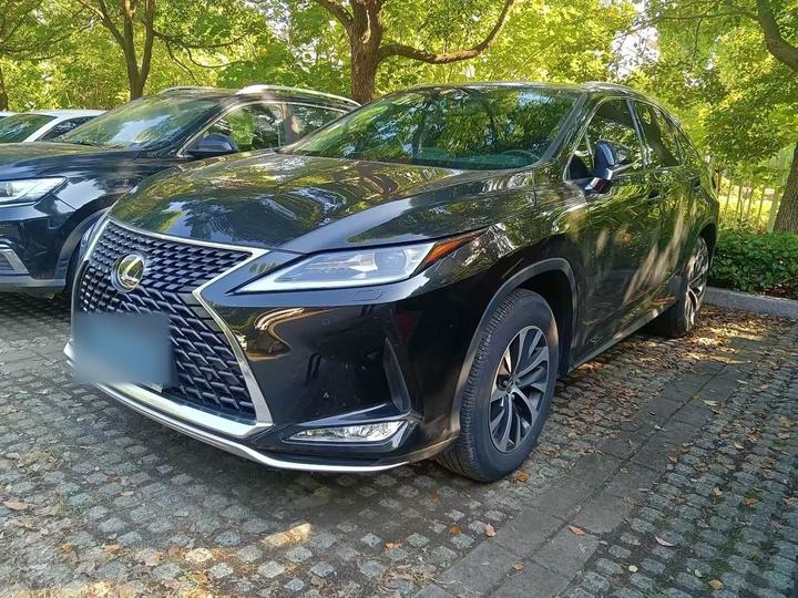 RX 2020 Facelift 300 RWD Elite