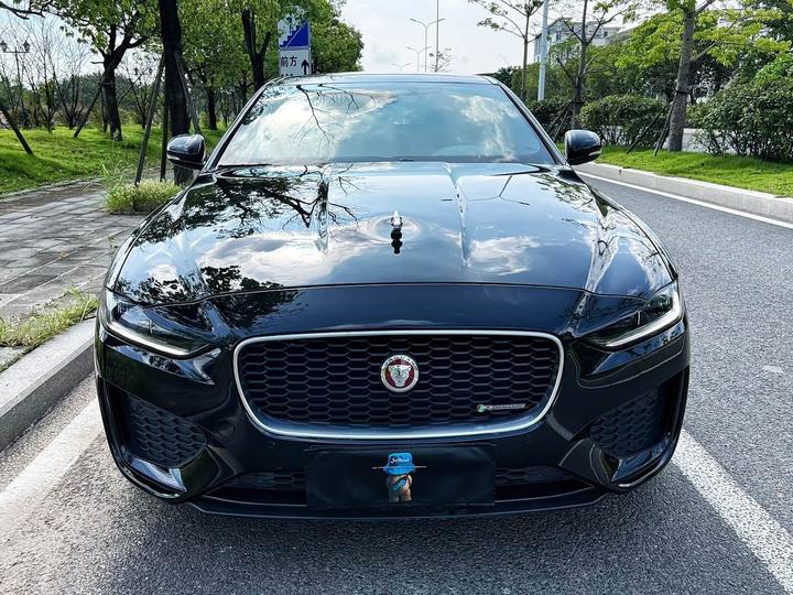 XEL 2023 2.0T 250PS R-DYNAMIC S Progressive Sport
