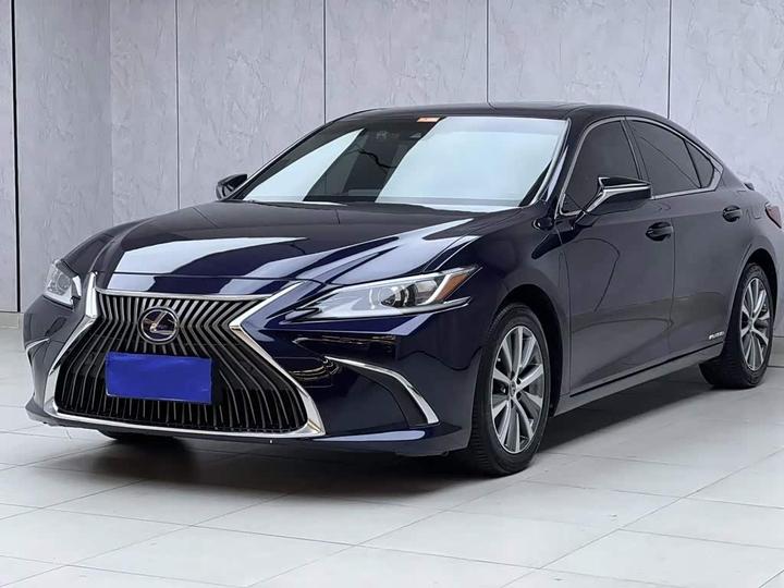 ES 2018 300h Excellence China V