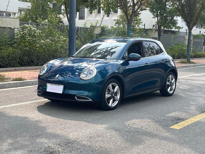 Good Cat 2022 400km Standard Range Luxury LFP
