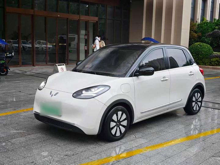 Bingo 2023 333km +