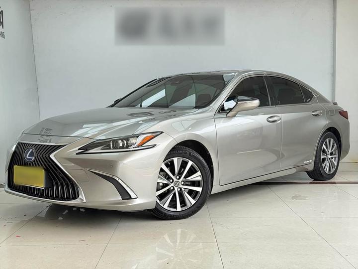 ES 2018 300h Excellence China VI