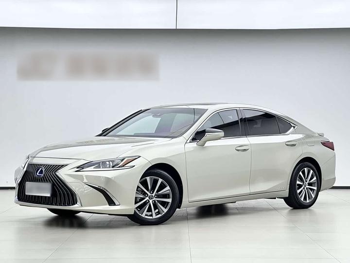 ES 2020 300h Excellence China V