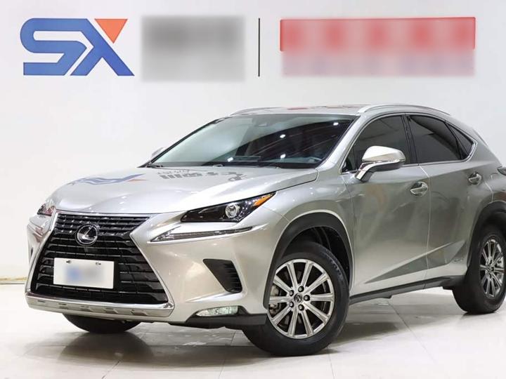 NX 2020 300h FWD China VI