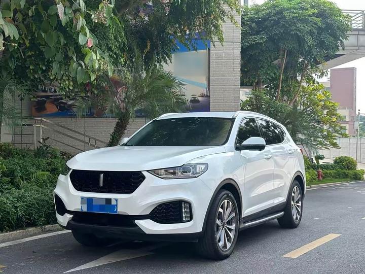 VV6 2018 2.0T RWD China V