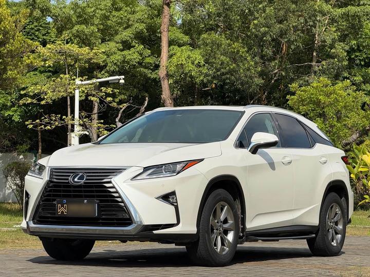 RX 2016 300 RWD Elite China V