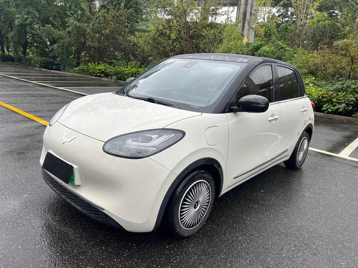 Bingo 2023 333km +