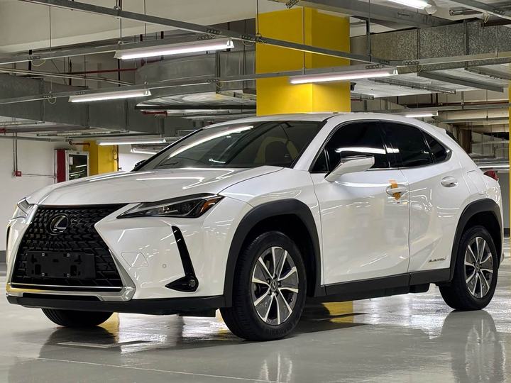 UX EV 2020 300e