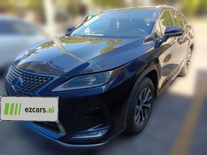 RX 2020 300 RWD Elite China VI