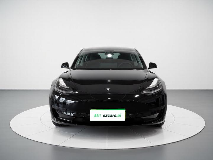 Model 3 2022 RWD photo 2