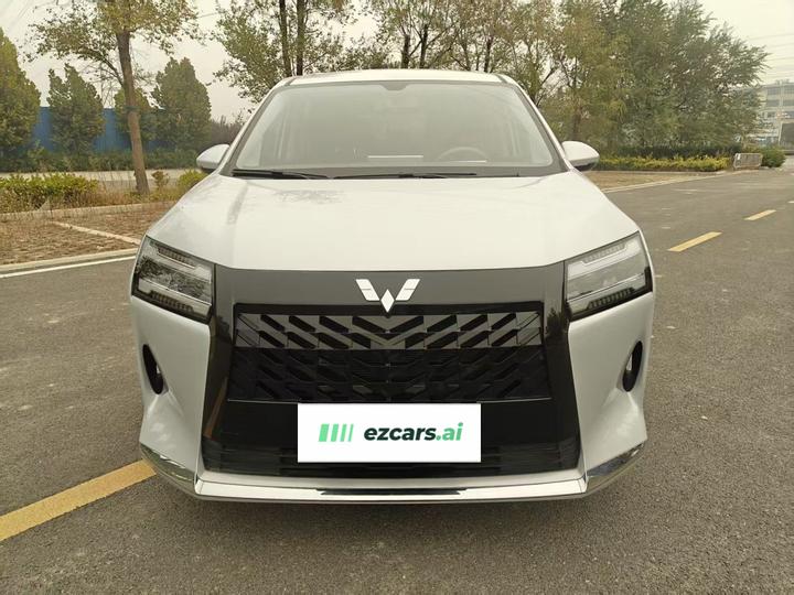 730 EV 2025 125km Luxury photo 2