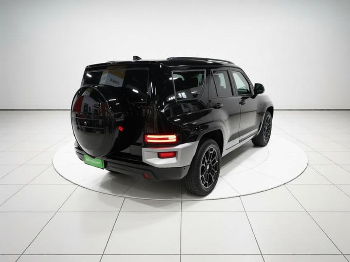 700 EV 2024 Hi4-T photo 6