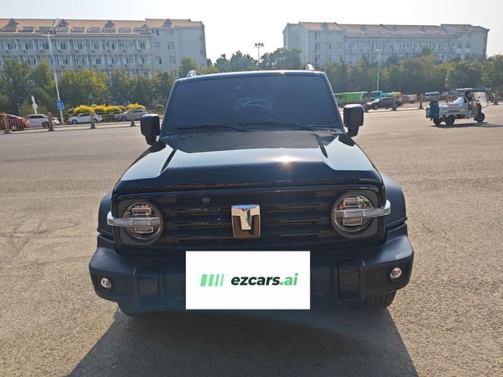300 2024 2.0T Conqueror photo 2