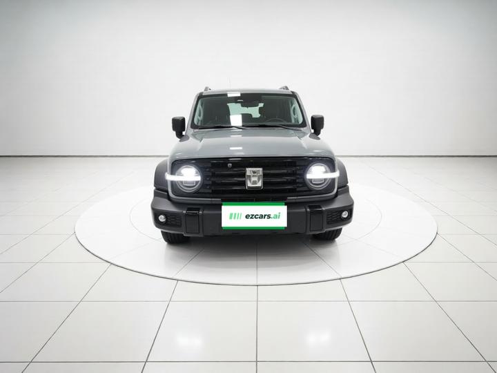 300 2024 2.0T Conqueror photo 2