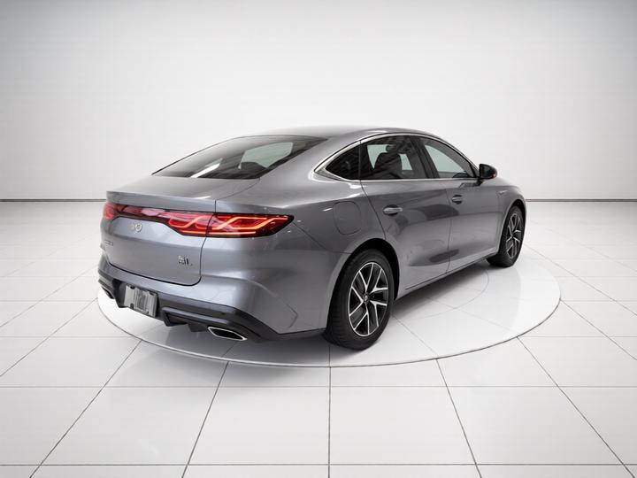Qin L 2024 DM-i 80KM photo 6