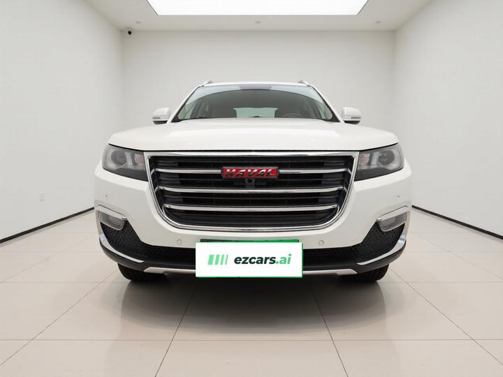 H7 2017 Red Label H7 2.0T AT Exclusive photo 2