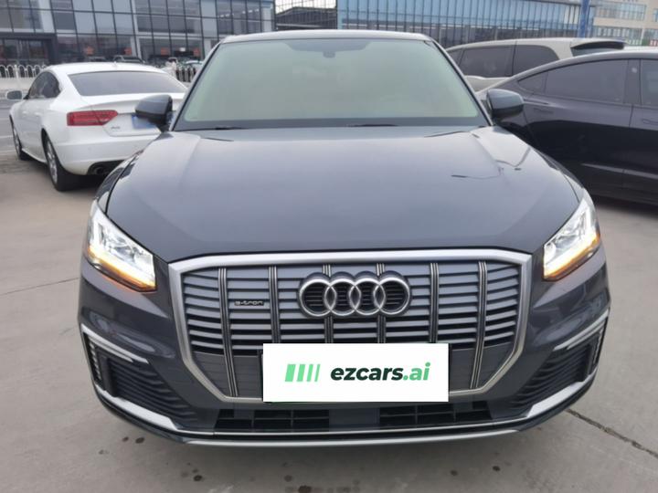 Q2L e-tron 2019 Q2L e-tron EV Smart photo 2