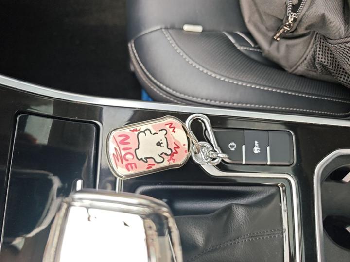 Arrizo GX 2018 1.5T CVT China V photo 8