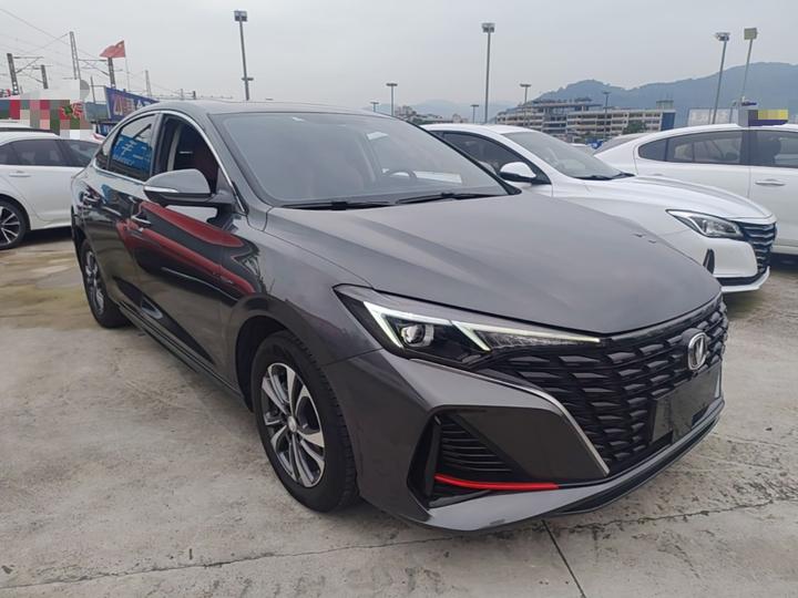 Eado 2024 PLUS NE 1.4T GDI DCT photo 3