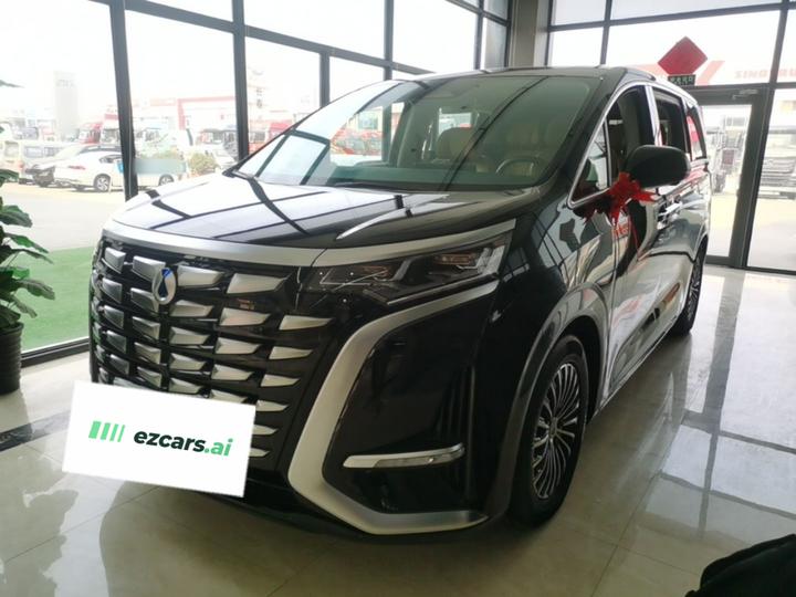 D9 2024 DM-i 980 AWD Premium