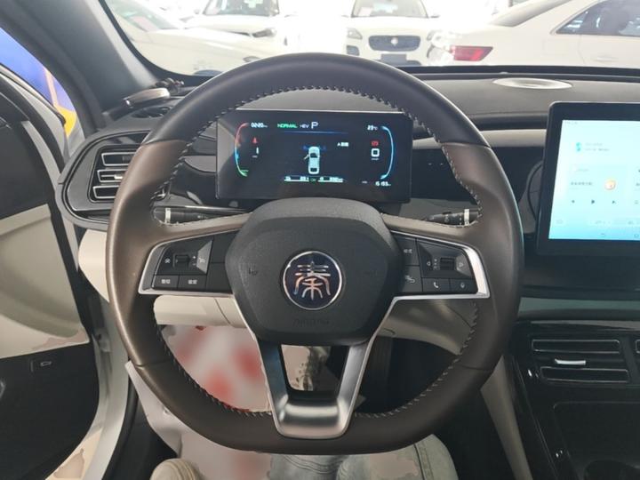 Qin PLUS 2024 Honor DM-i 55KM Leading photo 4