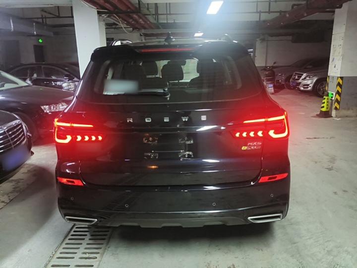 RX5 EV 2020 ePLUS Luxury photo 3