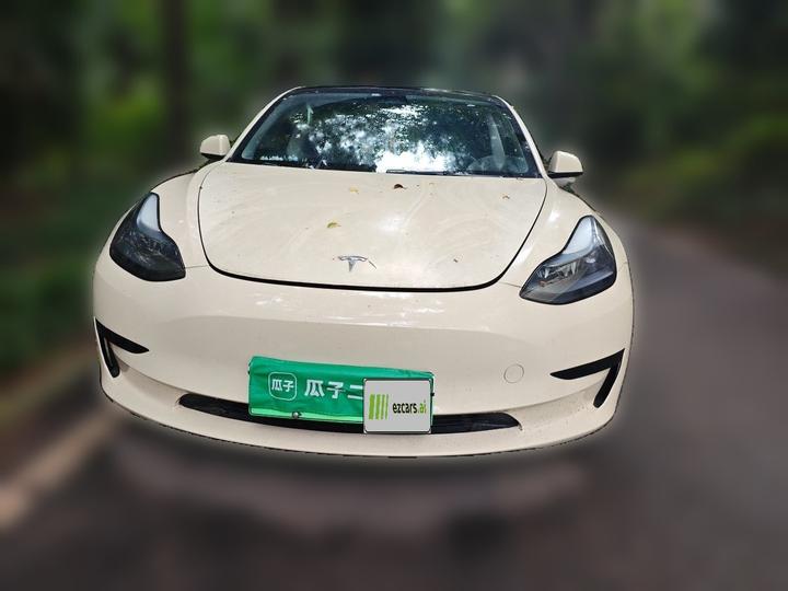 Model 3 2022 RWD photo 2