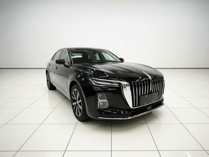 H5 PHEV 2025 170 photo 3