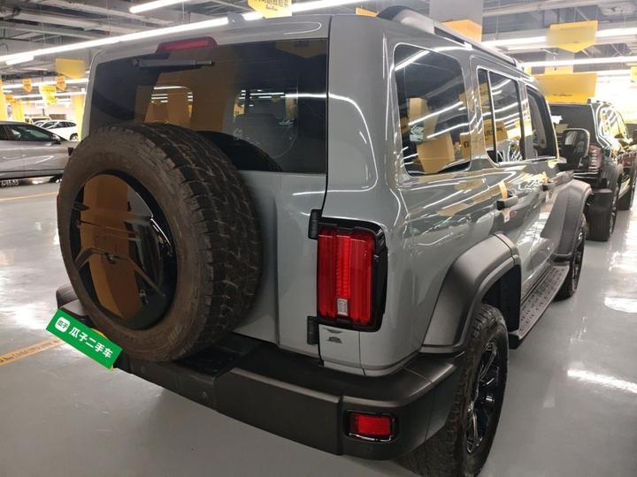 300 2021 Off-road 2.0T Conqueror photo 4