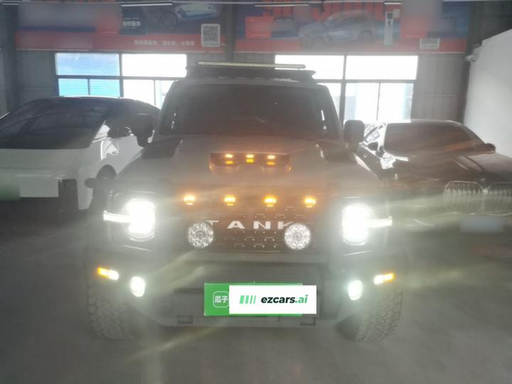 300 2023 Off-road 2.0T Conqueror photo 2