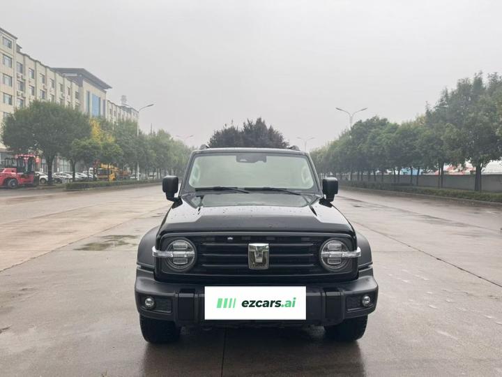 300 2021 Off-road 2.0T Conqueror photo 2