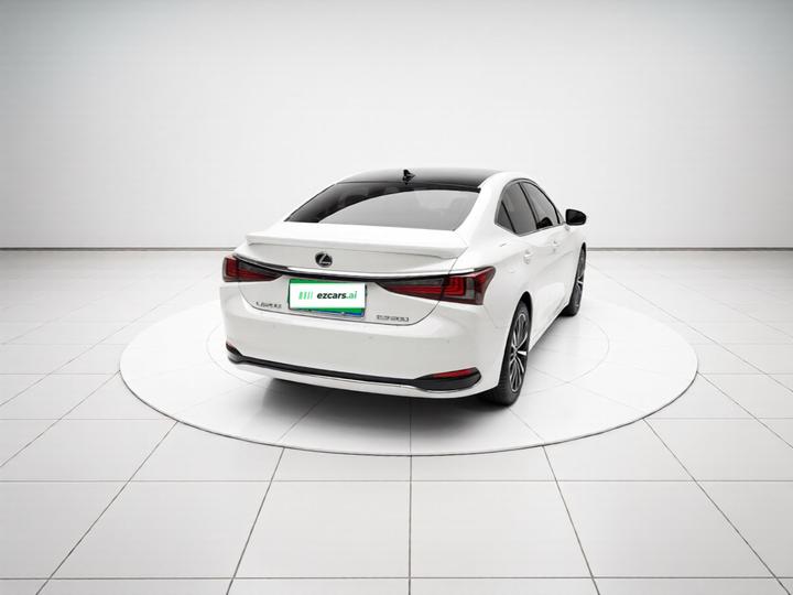 ES 2018 200 Luxury China V photo 5