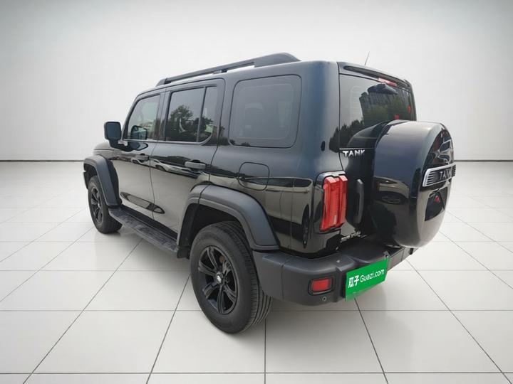 300 2021 Off-road 2.0T Conqueror photo 4